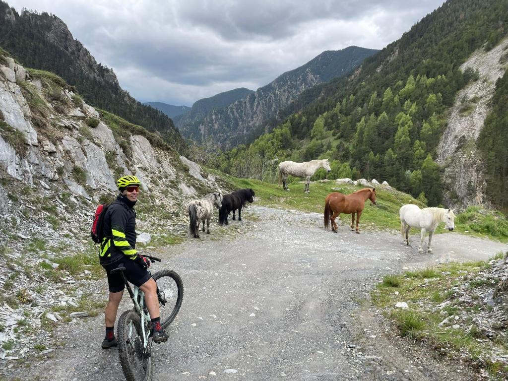 Hotel Restaurante Vall de Valira. Carrer Sant Julia, 6 - 25778, OS DE CIVÍS. Lleida.
Teléfono y WhatsApp +34692352110 - T.+376358660.
En el restaurante podrás degustar una exquisita gastronomía de alta montaña basada en recetas tradicionales con productos de proximidad. Partimos de poca variedad, pero cambiamos cada día la carta del menú para que puedas repetir en nuestro restaurante y probar platos nuevos y únicos. ¡Mejor poco, pero bien hecho! Horario Restaurante: Todos los días 13:00 a 15:30 h y 20:00 a 22:00 h. Horario del Bar: Todos los días 10:00 h a 22:00 h.
¡Nuestros servicios son únicos! La mejor cama, la mejor TV y la mejor wifi que te podemos ofrecer.
Camas KING SIZE: ¡Camas de 200 cm x 200 cm para dormir como un KING!
Almohada doble de diferente tamaño para los más exigentes. Sabanas de algodón, s180 hilos de la mejor calidad. Baño: Secador de pelo, espejo de aumento, Servicio de toallas. Jabón + Amenities en el baño
Wifi: Alta velocidad para ver películas o TeleTrabajar (ideal para Freelancers). Os de Civís dispone de señal móvil de España. Minibar. Televisión: Televisiones Samsung FHD de 49″ y siente los colores
Google Cast. Duplicado de pantalla. HDMI – Tiempo
No hay caso alguno como el de Os de Civís, una pedanía ilerdense (dícese de Lleida) a la que no se puede entrar desde España, estando este dentro de sus fronteras. Hotel ideal para clubs deportivos, ciclistas, motoristas, amantes del running, usuarios de los caminos de montaña etc. Incluso hemos habilitado una zona exterior para unos grupos que nos visitaron con caballos.
Te explicamos la historia de Aós de Civís
Se trata de un enclave único por su condición geográfica: el único acceso que tiene se realiza desde Sant Julià de Lòria, ciudad o Parroquia situada en el Principado de Andorra. Muy próximo al pueblo se encuentra el Pic del Salòria, una montaña de casi 2800 metros que domina todo el valle. También corona el parque Natural del Alto Pirineo, el mayor espacio natural de toda Cataluña.
Aós de Civís: La leyenda
Según cuenta la leyenda, los prados del Valle de Aós estaban en disputa entre los pastores andorranos y los catalanes. Para resolver su titularidad, se organizó una pelea entre los mejores luchadores de ambos países, que se celebró en el Coll de la Botella. La disputa dejó al luchador catalán como vencedor. Todos los pastos para los animales en disputa pasaron a pertenecer, desde entonces, a la parroquia de Aós, y más tarde a España. Desde entonces… NADIE ha puesto en duda la legitimidad del acuerdo.
Hotel Les Valls de Valira. Construido en 1970 y reformado en 2007 y 2024, ha conservado su encanto y su historia mejorando sus servicios y acabados para ofrecer lo mejor a sus clientes.
🔸 #VallDeValira 🔸 #OsDeCivís 🔸 #GastronomíaDeAltaMontaña 🔸 #CocinaTradicional 🔸 #ProductosDeProximidad 🔸 #SaboresAuténticos 🔸 #MenúDelDía 🔸 #ExperienciaGastronómica 🔸 #DescubreOsDeCivís 🔸 #EscapadaRural 🔸 #MontañasDeLleida 🔸 #HotelConEncanto 🔸 #KingSizeBeds 🔸 #RelaxTotal 🔸 #HospitalidadPremium 🔸 #AltaVelocidadWiFi 🔸 #VistasEspectaculares 🔸 #PirineosCatalanes 🔸 #HistoriaYEncanto 🔸 #TurismoRural 🔸 #LeyendaDeOsDeCivís 🔸 #AventuraEnLosPirineos 🔸 #NaturalezaYBienestar 🔸 #MontañasImpresionantes 🔸 #SaboresQueEnamoran
BOOKING: Hotel Valls Valira es un alojamiento de 2 estrellas que se encuentra en Os de Civís, a 18 km de parque de atracciones Naturland, y que dispone de salón de uso común, restaurante y bar. El alojamiento está a 22 km de Santuari de Meritxell, a 12 km de Estadio comunal de Aixovall y a 22 km de Campo de golf Vall d’Ordino. El hotel libre de humo ofrece wifi gratis en todo el alojamiento.
En el hotel, todas las habitaciones disponen de armario, TV de pantalla plana, baño privado, ropa de cama, toallas y un balcón con vistas a la montaña. Todas las unidades disponen de caja fuerte.
El desayuno está disponible todas las mañanas e incluye opciones de buffet, a la carta o sin gluten.
La clientela puede practicar actividades en Os de Civís y alrededores, como el ciclismo.
El aeropuerto (Aeropuerto de Andorra-La Seu d’Urgell) está a 27 km.
A las parejas les encanta la ubicación —le han puesto un 9,0 para viajes de dos personas.
Las distancias en la descripción del alojamiento se calculan con OpenStreetMap©