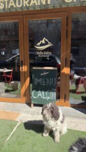 Hotel Restaurante Vall de Valira. Carrer Sant Julia, 6 - 25778, OS DE CIVÍS. Lleida. Teléfono y WhatsApp +34692352110 - T.+376358660. En el restaurante podrás degustar una exquisita gastronomía de alta montaña basada en recetas tradicionales con productos de proximidad. Partimos de poca variedad, pero cambiamos cada día la carta del menú para que puedas repetir en nuestro restaurante y probar platos nuevos y únicos. ¡Mejor poco, pero bien hecho! Horario Restaurante: Todos los días 13:00 a 15:30 h y 20:00 a 22:00 h. Horario del Bar: Todos los días 10:00 h a 22:00 h. ¡Nuestros servicios son únicos! La mejor cama, la mejor TV y la mejor wifi que te podemos ofrecer. Camas KING SIZE: ¡Camas de 200 cm x 200 cm para dormir como un KING! Almohada doble de diferente tamaño para los más exigentes. Sabanas de algodón, s180 hilos de la mejor calidad. Baño: Secador de pelo, espejo de aumento, Servicio de toallas. Jabón + Amenities en el baño Wifi: Alta velocidad para ver películas o TeleTrabajar (ideal para Freelancers). Os de Civís dispone de señal móvil de España. Minibar. Televisión: Televisiones Samsung FHD de 49″ y siente los colores Google Cast. Duplicado de pantalla. HDMI – Tiempo No hay caso alguno como el de Os de Civís, una pedanía ilerdense (dícese de Lleida) a la que no se puede entrar desde España, estando este dentro de sus fronteras. Hotel ideal para clubs deportivos, ciclistas, motoristas, amantes del running, usuarios de los caminos de montaña etc. Incluso hemos habilitado una zona exterior para unos grupos que nos visitaron con caballos. Te explicamos la historia de Aós de Civís Se trata de un enclave único por su condición geográfica: el único acceso que tiene se realiza desde Sant Julià de Lòria, ciudad o Parroquia situada en el Principado de Andorra. Muy próximo al pueblo se encuentra el Pic del Salòria, una montaña de casi 2800 metros que domina todo el valle. También corona el parque Natural del Alto Pirineo, el mayor espacio natural de toda Cataluña. Aós de Civís: La leyenda Según cuenta la leyenda, los prados del Valle de Aós estaban en disputa entre los pastores andorranos y los catalanes. Para resolver su titularidad, se organizó una pelea entre los mejores luchadores de ambos países, que se celebró en el Coll de la Botella. La disputa dejó al luchador catalán como vencedor. Todos los pastos para los animales en disputa pasaron a pertenecer, desde entonces, a la parroquia de Aós, y más tarde a España. Desde entonces… NADIE ha puesto en duda la legitimidad del acuerdo. Hotel Les Valls de Valira. Construido en 1970 y reformado en 2007 y 2024, ha conservado su encanto y su historia mejorando sus servicios y acabados para ofrecer lo mejor a sus clientes. 🔸 #VallDeValira 🔸 #OsDeCivís 🔸 #GastronomíaDeAltaMontaña 🔸 #CocinaTradicional 🔸 #ProductosDeProximidad 🔸 #SaboresAuténticos 🔸 #MenúDelDía 🔸 #ExperienciaGastronómica 🔸 #DescubreOsDeCivís 🔸 #EscapadaRural 🔸 #MontañasDeLleida 🔸 #HotelConEncanto 🔸 #KingSizeBeds 🔸 #RelaxTotal 🔸 #HospitalidadPremium 🔸 #AltaVelocidadWiFi 🔸 #VistasEspectaculares 🔸 #PirineosCatalanes 🔸 #HistoriaYEncanto 🔸 #TurismoRural 🔸 #LeyendaDeOsDeCivís 🔸 #AventuraEnLosPirineos 🔸 #NaturalezaYBienestar 🔸 #MontañasImpresionantes 🔸 #SaboresQueEnamoran BOOKING: Hotel Valls Valira es un alojamiento de 2 estrellas que se encuentra en Os de Civís, a 18 km de parque de atracciones Naturland, y que dispone de salón de uso común, restaurante y bar. El alojamiento está a 22 km de Santuari de Meritxell, a 12 km de Estadio comunal de Aixovall y a 22 km de Campo de golf Vall d’Ordino. El hotel libre de humo ofrece wifi gratis en todo el alojamiento. En el hotel, todas las habitaciones disponen de armario, TV de pantalla plana, baño privado, ropa de cama, toallas y un balcón con vistas a la montaña. Todas las unidades disponen de caja fuerte. El desayuno está disponible todas las mañanas e incluye opciones de buffet, a la carta o sin gluten. La clientela puede practicar actividades en Os de Civís y alrededores, como el ciclismo. El aeropuerto (Aeropuerto de Andorra-La Seu d’Urgell) está a 27 km. A las parejas les encanta la ubicación —le han puesto un 9,0 para viajes de dos personas. Las distancias en la descripción del alojamiento se calculan con OpenStreetMap© Hotel Valls de Valira a Os de Civís. Se come mucho y muy bien, sorprendente tabla de embutidos ibéricos con platos caseros de segundo, patatas fritas caseras, tienen conejo, callos, pavo, magro de cerdo, salpicón, ensaladilla. Todo buenísimo. Los postres espectaculares. Vino de la casa todo el que quieras. ¡Un descubrimiento! ¡Decoración sublime! ¡Visita OBLIGATORIA! Vivir en Os de Civís, periclave pirenaico accesible solo desde Andorra Singular, bello y asombroso. Estos son algunos de los adjetivos más repetidos entre quienes visitan por primera vez el peculiar pueblo pirenaico de Os de Civís. Ubicado en pleno Pirineo, concretamente al norte de la provincia de Lérida, el pueblo de Os de Civís, también conocido como Aós de Civís, es una pequeña localidad del municipio de Valles del Valira. Perteneciente a la comarca del Alt Urgell, donde se ubican también los pueblos de Anserall, Argolell, Arcavell, Ars, Asnurri, Bescaran, Calbinyà, Civís, La Farga de Moles y Sant Joan Fumat. Aparte de por su increíble belleza, Os de Civís atrae a muchos visitantes gracias a su peculiar ubicación, que convierte a este pequeño pueblo pirenaico en una de las curiosidades geográficas más desconocidas de toda España. Así, Os de Civís no se trata de un enclave propiamente dicho, ni tampoco un exclave, sino que realmente es un periclave, concepto utilizado para definir aquel lugar conectado por tierra con el resto del país o la provincia, pero al que, en la práctica, solo se puede acceder a través de otro país.