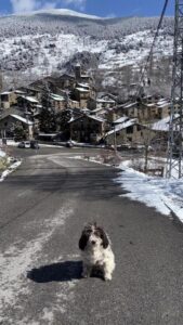 Hotel Restaurante Vall de Valira. Carrer Sant Julia, 6 - 25778, OS DE CIVÍS. Lleida. Teléfono y WhatsApp +34692352110 - T.+376358660. En el restaurante podrás degustar una exquisita gastronomía de alta montaña basada en recetas tradicionales con productos de proximidad. Partimos de poca variedad, pero cambiamos cada día la carta del menú para que puedas repetir en nuestro restaurante y probar platos nuevos y únicos. ¡Mejor poco, pero bien hecho! Horario Restaurante: Todos los días 13:00 a 15:30 h y 20:00 a 22:00 h. Horario del Bar: Todos los días 10:00 h a 22:00 h. ¡Nuestros servicios son únicos! La mejor cama, la mejor TV y la mejor wifi que te podemos ofrecer. Camas KING SIZE: ¡Camas de 200 cm x 200 cm para dormir como un KING! Almohada doble de diferente tamaño para los más exigentes. Sabanas de algodón, s180 hilos de la mejor calidad. Baño: Secador de pelo, espejo de aumento, Servicio de toallas. Jabón + Amenities en el baño Wifi: Alta velocidad para ver películas o TeleTrabajar (ideal para Freelancers). Os de Civís dispone de señal móvil de España. Minibar. Televisión: Televisiones Samsung FHD de 49″ y siente los colores Google Cast. Duplicado de pantalla. HDMI – Tiempo No hay caso alguno como el de Os de Civís, una pedanía ilerdense (dícese de Lleida) a la que no se puede entrar desde España, estando este dentro de sus fronteras. Hotel ideal para clubs deportivos, ciclistas, motoristas, amantes del running, usuarios de los caminos de montaña etc. Incluso hemos habilitado una zona exterior para unos grupos que nos visitaron con caballos. Te explicamos la historia de Aós de Civís Se trata de un enclave único por su condición geográfica: el único acceso que tiene se realiza desde Sant Julià de Lòria, ciudad o Parroquia situada en el Principado de Andorra. Muy próximo al pueblo se encuentra el Pic del Salòria, una montaña de casi 2800 metros que domina todo el valle. También corona el parque Natural del Alto Pirineo, el mayor espacio natural de toda Cataluña. Aós de Civís: La leyenda Según cuenta la leyenda, los prados del Valle de Aós estaban en disputa entre los pastores andorranos y los catalanes. Para resolver su titularidad, se organizó una pelea entre los mejores luchadores de ambos países, que se celebró en el Coll de la Botella. La disputa dejó al luchador catalán como vencedor. Todos los pastos para los animales en disputa pasaron a pertenecer, desde entonces, a la parroquia de Aós, y más tarde a España. Desde entonces… NADIE ha puesto en duda la legitimidad del acuerdo. Hotel Les Valls de Valira. Construido en 1970 y reformado en 2007 y 2024, ha conservado su encanto y su historia mejorando sus servicios y acabados para ofrecer lo mejor a sus clientes. 🔸 #VallDeValira 🔸 #OsDeCivís 🔸 #GastronomíaDeAltaMontaña 🔸 #CocinaTradicional 🔸 #ProductosDeProximidad 🔸 #SaboresAuténticos 🔸 #MenúDelDía 🔸 #ExperienciaGastronómica 🔸 #DescubreOsDeCivís 🔸 #EscapadaRural 🔸 #MontañasDeLleida 🔸 #HotelConEncanto 🔸 #KingSizeBeds 🔸 #RelaxTotal 🔸 #HospitalidadPremium 🔸 #AltaVelocidadWiFi 🔸 #VistasEspectaculares 🔸 #PirineosCatalanes 🔸 #HistoriaYEncanto 🔸 #TurismoRural 🔸 #LeyendaDeOsDeCivís 🔸 #AventuraEnLosPirineos 🔸 #NaturalezaYBienestar 🔸 #MontañasImpresionantes 🔸 #SaboresQueEnamoran BOOKING: Hotel Valls Valira es un alojamiento de 2 estrellas que se encuentra en Os de Civís, a 18 km de parque de atracciones Naturland, y que dispone de salón de uso común, restaurante y bar. El alojamiento está a 22 km de Santuari de Meritxell, a 12 km de Estadio comunal de Aixovall y a 22 km de Campo de golf Vall d’Ordino. El hotel libre de humo ofrece wifi gratis en todo el alojamiento. En el hotel, todas las habitaciones disponen de armario, TV de pantalla plana, baño privado, ropa de cama, toallas y un balcón con vistas a la montaña. Todas las unidades disponen de caja fuerte. El desayuno está disponible todas las mañanas e incluye opciones de buffet, a la carta o sin gluten. La clientela puede practicar actividades en Os de Civís y alrededores, como el ciclismo. El aeropuerto (Aeropuerto de Andorra-La Seu d’Urgell) está a 27 km. A las parejas les encanta la ubicación —le han puesto un 9,0 para viajes de dos personas. Las distancias en la descripción del alojamiento se calculan con OpenStreetMap© Hotel Valls de Valira a Os de Civís. Se come mucho y muy bien, sorprendente tabla de embutidos ibéricos con platos caseros de segundo, patatas fritas caseras, tienen conejo, callos, pavo, magro de cerdo, salpicón, ensaladilla. Todo buenísimo. Los postres espectaculares. Vino de la casa todo el que quieras. ¡Un descubrimiento! ¡Decoración sublime! ¡Visita OBLIGATORIA! Vivir en Os de Civís, periclave pirenaico accesible solo desde Andorra Singular, bello y asombroso. Estos son algunos de los adjetivos más repetidos entre quienes visitan por primera vez el peculiar pueblo pirenaico de Os de Civís. Ubicado en pleno Pirineo, concretamente al norte de la provincia de Lérida, el pueblo de Os de Civís, también conocido como Aós de Civís, es una pequeña localidad del municipio de Valles del Valira. Perteneciente a la comarca del Alt Urgell, donde se ubican también los pueblos de Anserall, Argolell, Arcavell, Ars, Asnurri, Bescaran, Calbinyà, Civís, La Farga de Moles y Sant Joan Fumat. Aparte de por su increíble belleza, Os de Civís atrae a muchos visitantes gracias a su peculiar ubicación, que convierte a este pequeño pueblo pirenaico en una de las curiosidades geográficas más desconocidas de toda España. Así, Os de Civís no se trata de un enclave propiamente dicho, ni tampoco un exclave, sino que realmente es un periclave, concepto utilizado para definir aquel lugar conectado por tierra con el resto del país o la provincia, pero al que, en la práctica, solo se puede acceder a través de otro país.